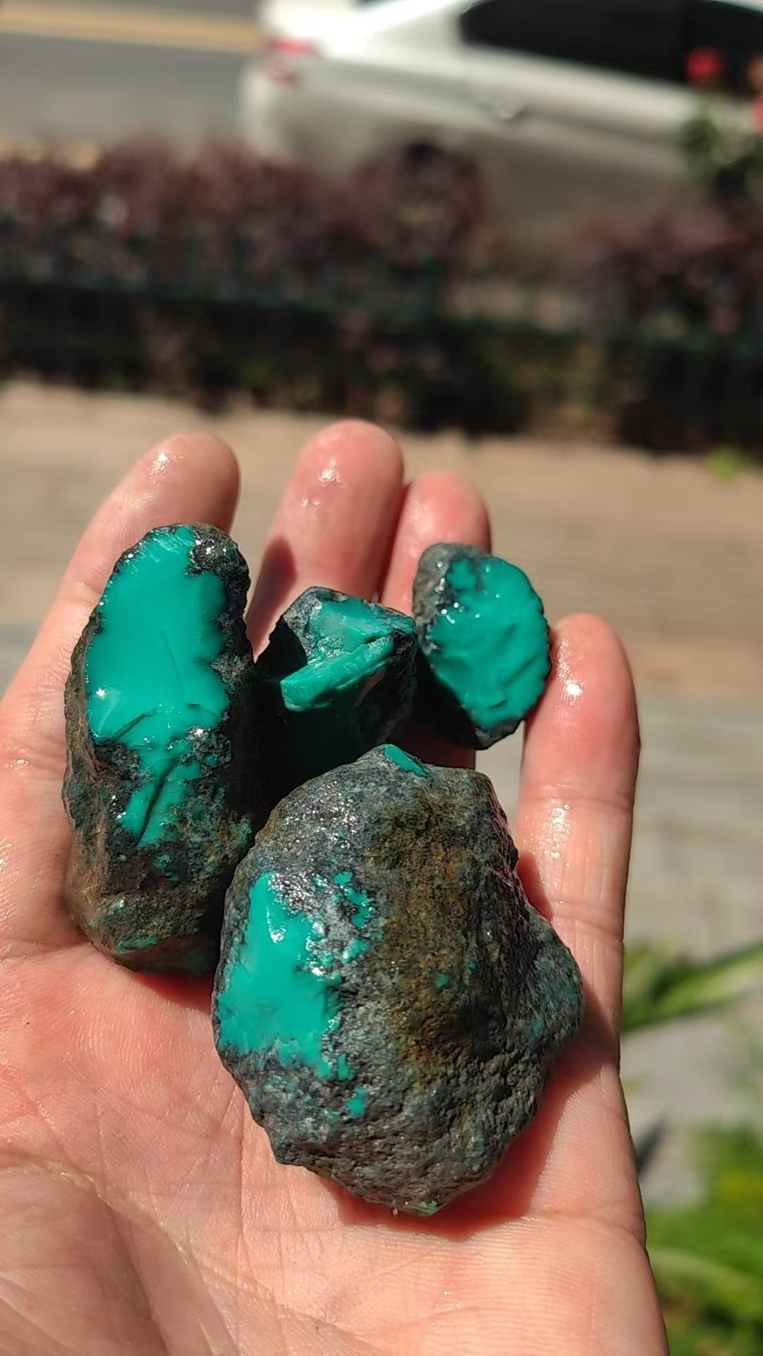 Cabochons